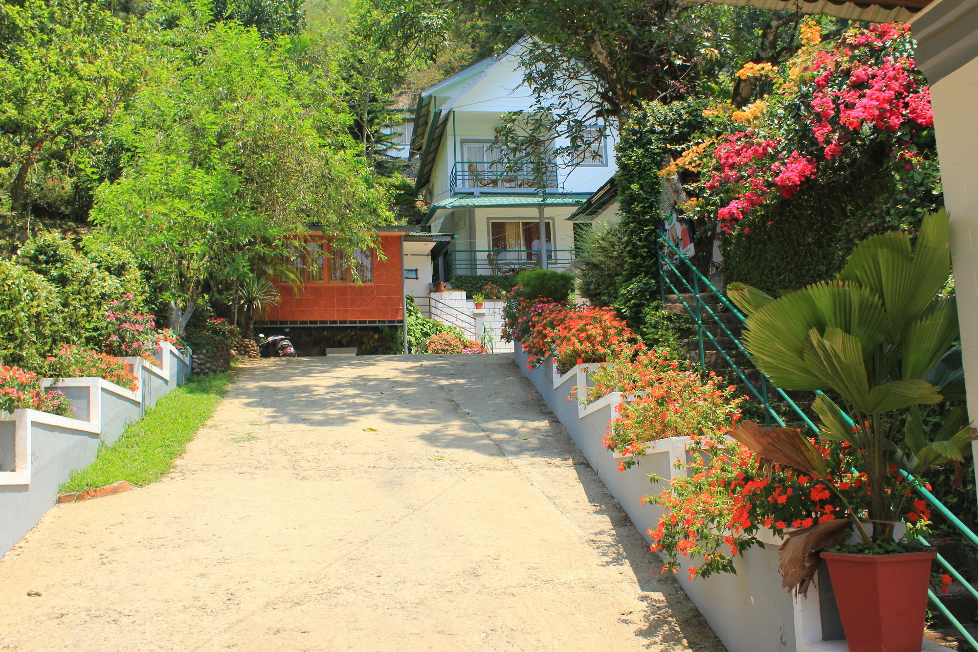 Bellavista Resort Munnar Bagian luar foto